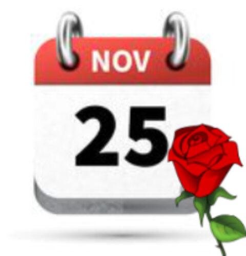 25 novembre giornata internazionale per l'eliminaizone della violenza contro le donne