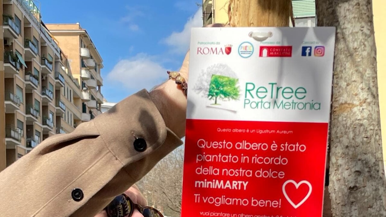 Albero dedicato a Martina RomaToday
